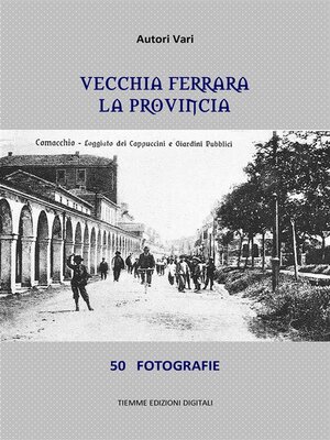 cover image of Vecchia Ferrara. La provincia